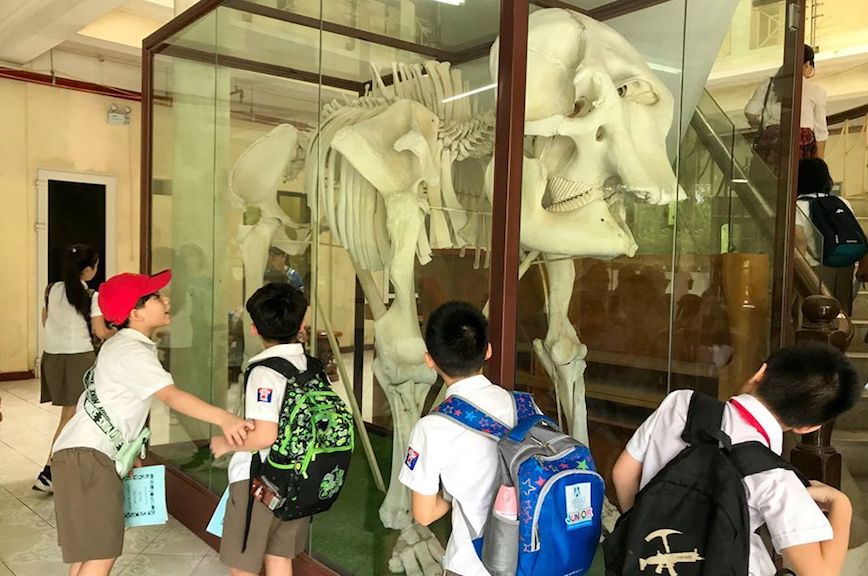 Khối 4: Khám phá thiên nhiên và thế giới động vật hoang dã